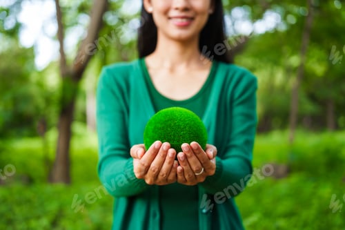 Preview: A male hand holds a hammer, symbolizing the enforcement of tree conservation laws. This highlights