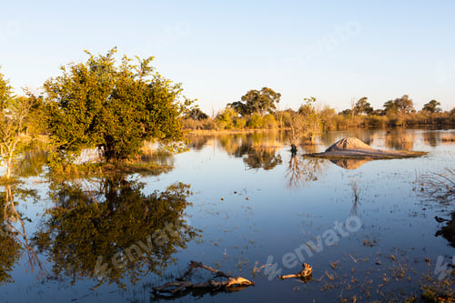 Preview: Landscape, Okavango Delta, Botswana.