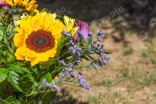 Preview: Photo of colorful beautiful flowers