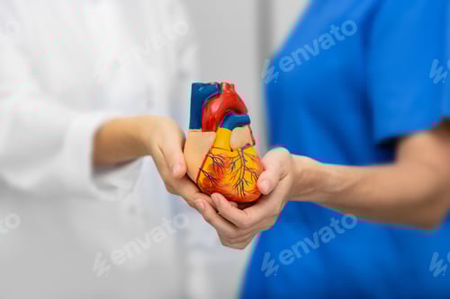 Preview: Medical concept healthcare and support. Doctor and nurse holding a heart in hands, close-up