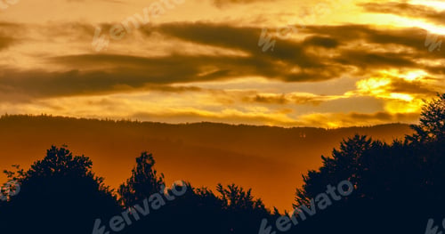 Preview: Sunset landscape over forest with silhouettes of trees