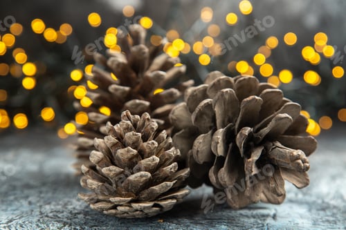 Preview: front view open pinecones on dark isolated background xmas lights