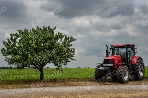 Preview: red tractor stands near the field, lonely tree with a round crown on storm clouds