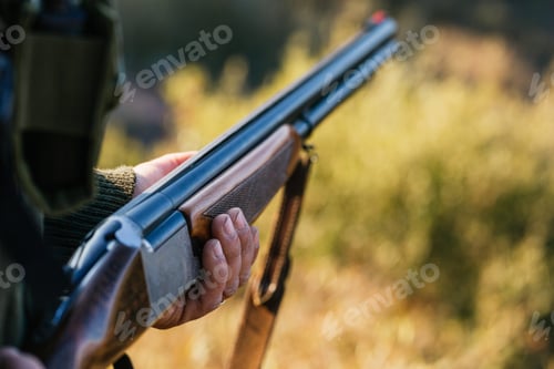 Preview: View of hands of hunter holding his shotgun in wild
