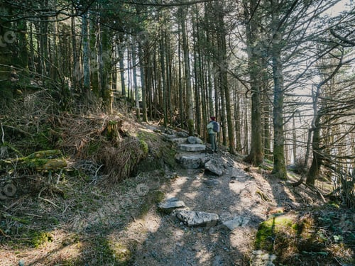 Preview: Hike at Mount Mitchell