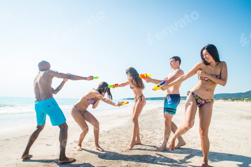 Preview: Friends having fun on the beach