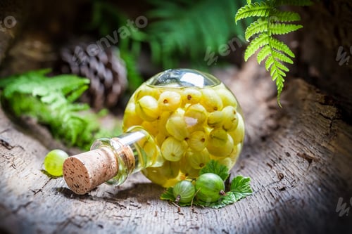 Preview: Homemade liqueur made of alcohol and gooseberries