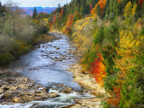 Preview: Autumn creek woods and rocks in forest mountain.