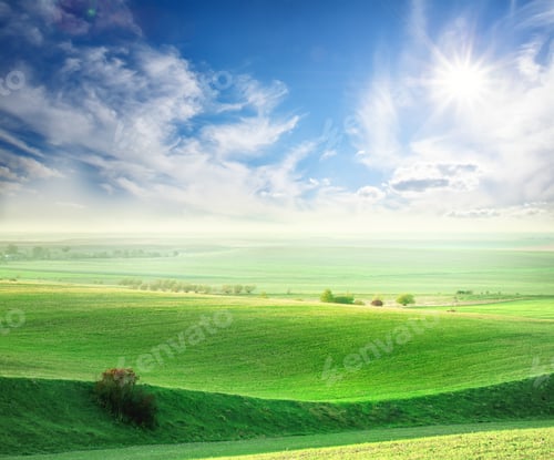 Preview: Wavy field with a green grass