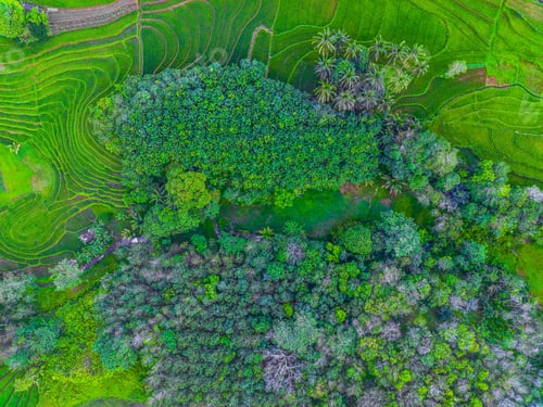 Preview: beautiful morning view from Indonesia of mountains and tropical forest