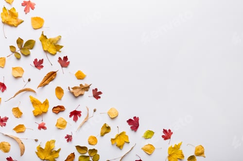 Preview: Autumn composition. Pattern made of dried leaves and other design accessories