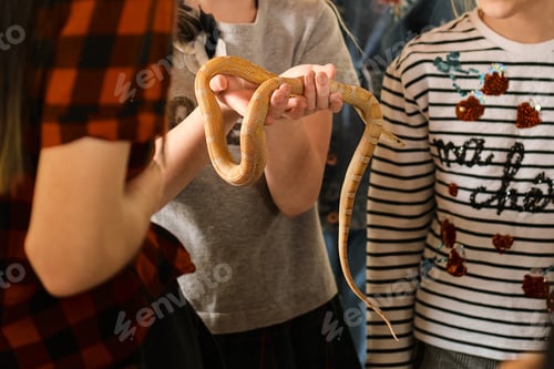 Vista previa: En la excursión al exotario, bajo estricta supervisión, se permite a los niños sostener una serpiente viva en las manos