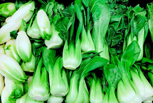 Preview: Bok Choy - Tonythetigersson Tony Andrews Photography