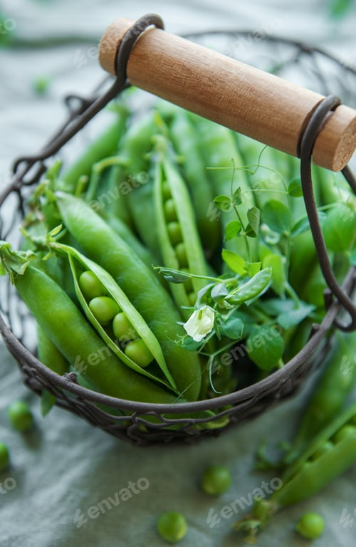 Preview: Basket with sweet pea pods
