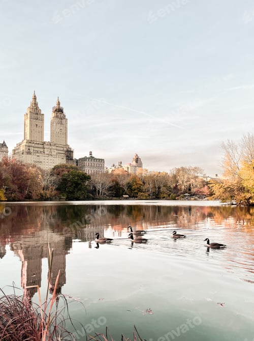 Preview: The view of an iconic building from Central Park, New York City.