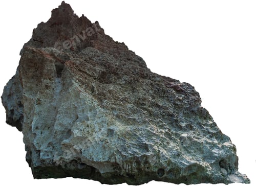 Preview: Coral Reef Isolated