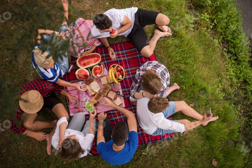 Preview: top view of group friends enjoying picnic time