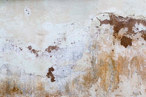 Preview: Light Gray Stucco Wall Texture. Abstract Background