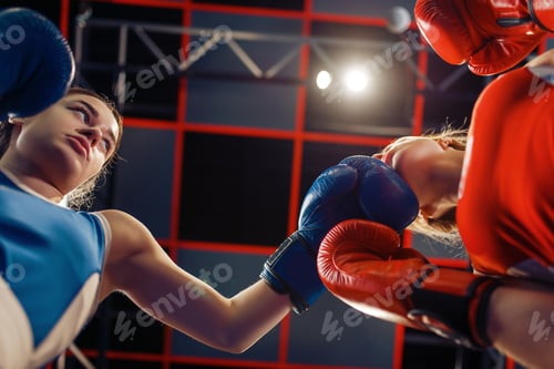 Preview: Women in gloves boxing on the ring, bottom view