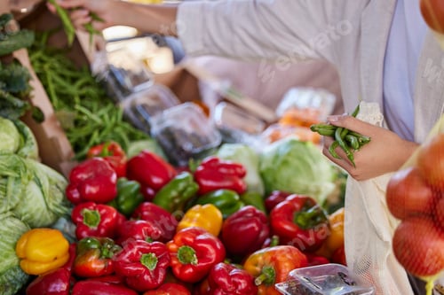 Preview: Vegetables, outdoor market with woman and shopping, customer with food for nutrition and wellness,