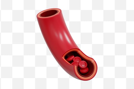 Preview: Blood Vessels 3D Icon