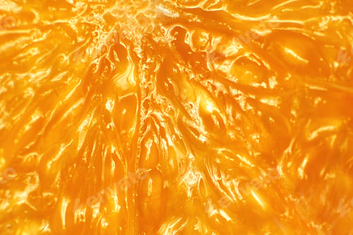 Preview: orange slice macro. juicy orange sliced closeup