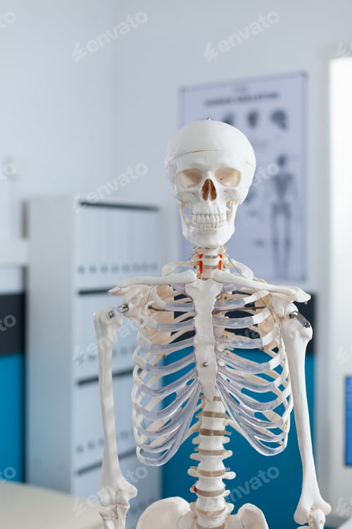 Preview: Portrait of human body skeleton standing in empty office with nobody in it