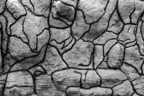 Preview: Tuberous Concrete Wall With An Abstract Cellular And Twisting Pattern A Closeup Of Monochrome Tone