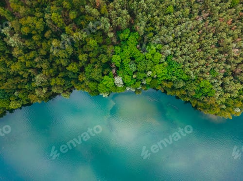 Preview: Aerial drone top down view of lake among forest with beautiful turquoise water in summer day.