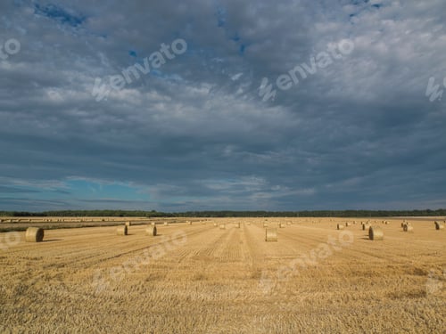 Preview: Harvested wheat field with haystacks in distance