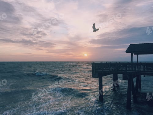 Preview: Bird Soaring Over Ocean Pier at Colorful Sunset
