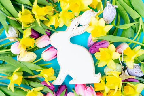 Preview: tulips and daffodils flowers