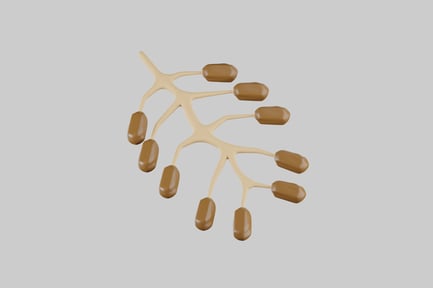 Preview: Chocolate covered almond tree branch