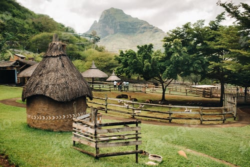Visualização: VALEBAT CASELA PARK,Casela Nature Valebat Facilities in Mauritius.Safari Park of the island of
