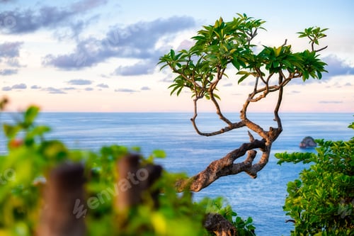 Preview: Kelingking beach, Nusa Penida, Bali, Indonesia.