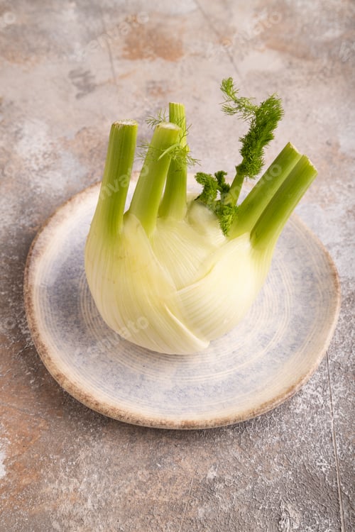 Preview: Fresh Fennel bulb on blue plate on brown concrete, side view, copy space