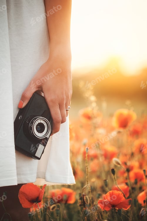 Preview: Vintage camera in woman hand on poppy field