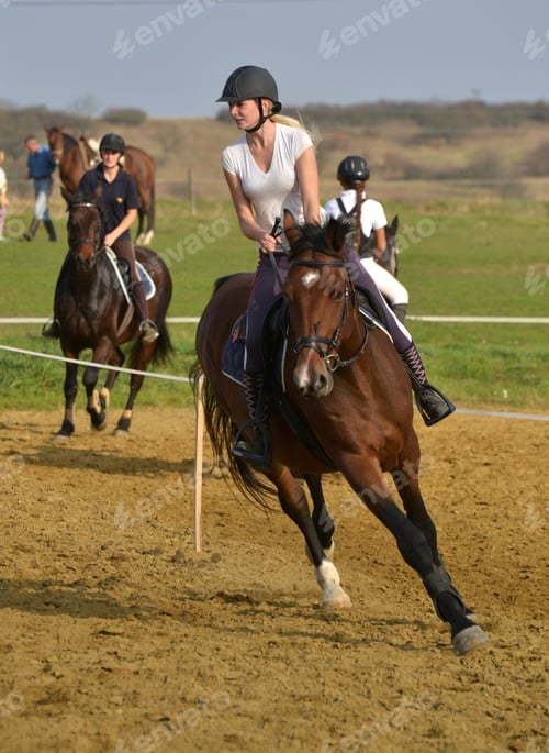 Preview: Horse Jumping