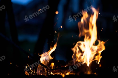 Preview: Beautiful fire. The concept of nature.