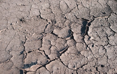 Preview: Background of dry cracked earth, parched earth, texture of earth dirt, desert, global warming,
