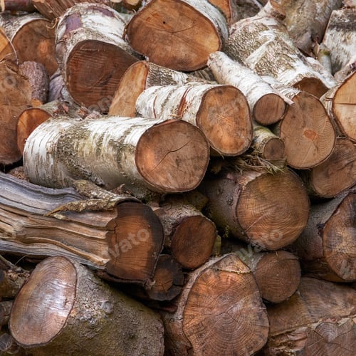 Preview: Birch firewood