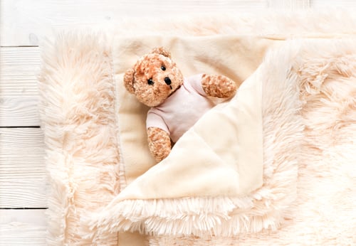 Preview: Small fur baby toy bear is covered with a warm blanket