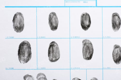 Preview: Fingerprint record sheet, top view. Criminal investigation