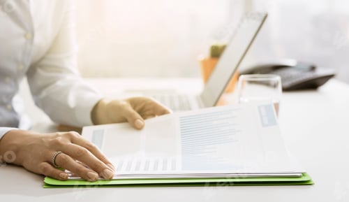 Preview: Businesswoman checking financial reports and statements
