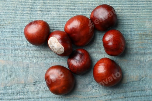 Preview: Many horse chestnuts on blue wooden table, flat lay