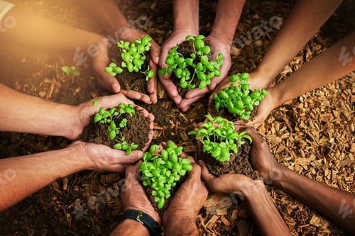 Preview: Cropped shot of a group of people holding plants growing out of soil
