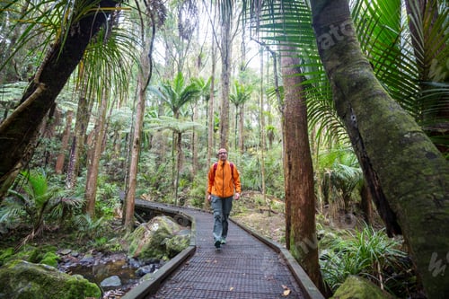 Preview: Tramping