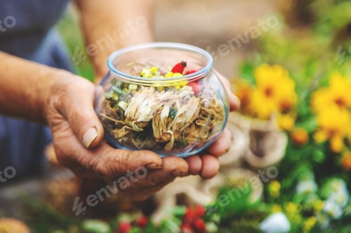 Preview: Medicinal herbs alternative medicine old woman. Selective focus.