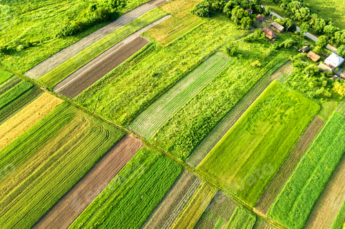Preview: Aerial view of a small village win many houses and green agricultural fields in spring
