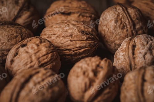 Preview: full frame of natural walnuts as backdrop